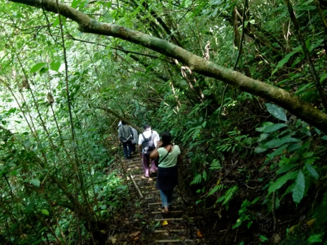 Rutas y senderos